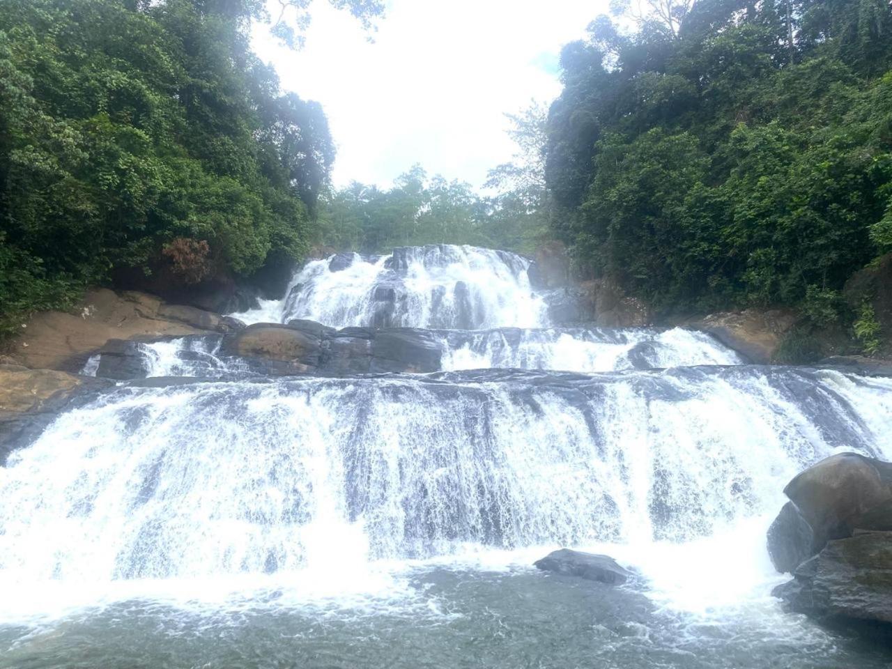 Sinharaja Riverside Deniyaya Bagian luar foto
