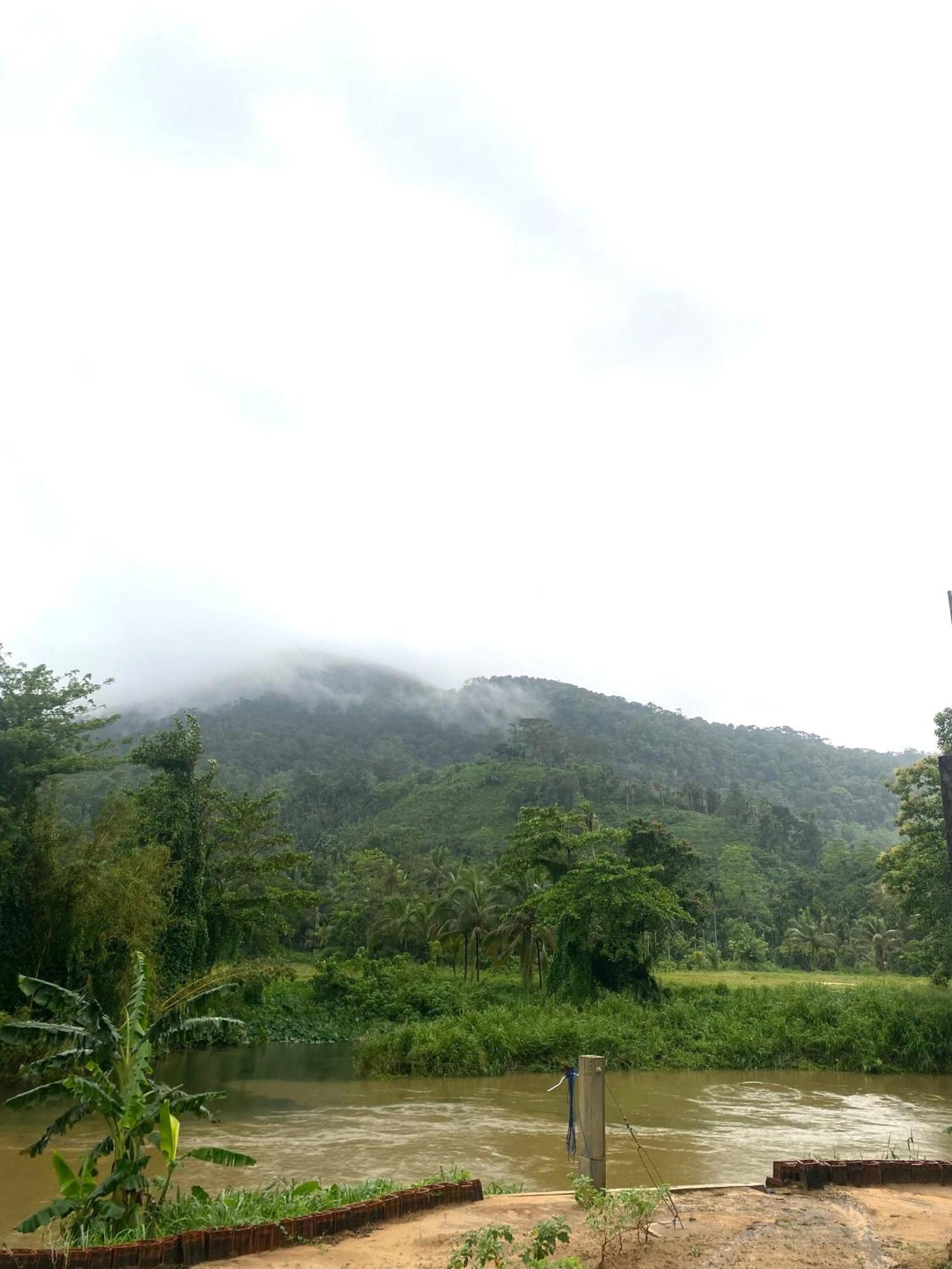 Sinharaja Riverside Deniyaya Bagian luar foto