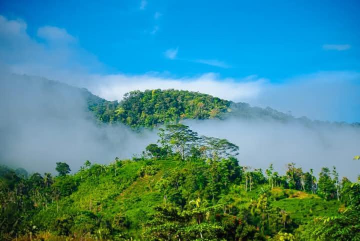 Sinharaja Riverside Deniyaya Bagian luar foto