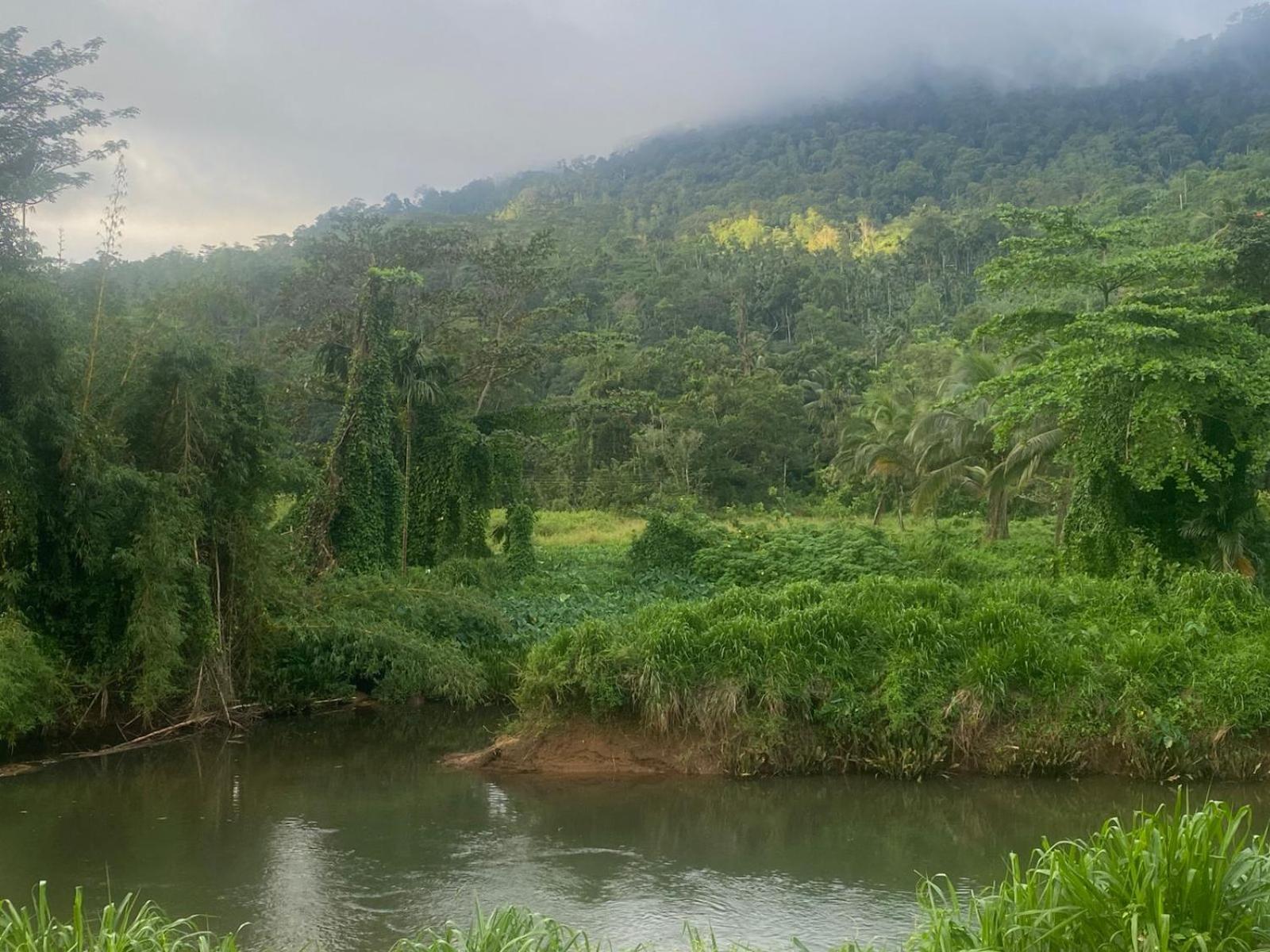 Sinharaja Riverside Deniyaya Ruang foto