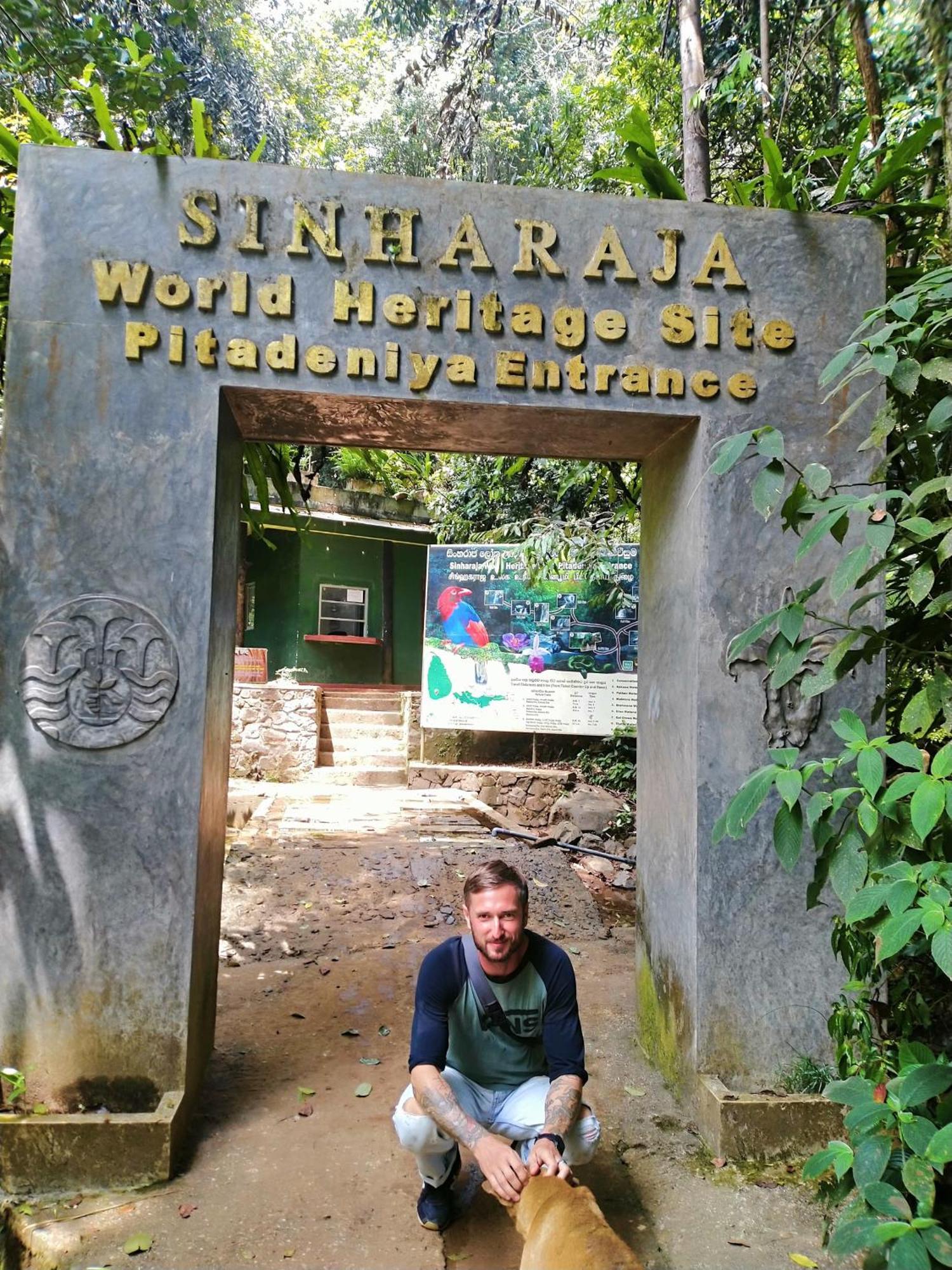 Sinharaja Riverside Deniyaya Bagian luar foto