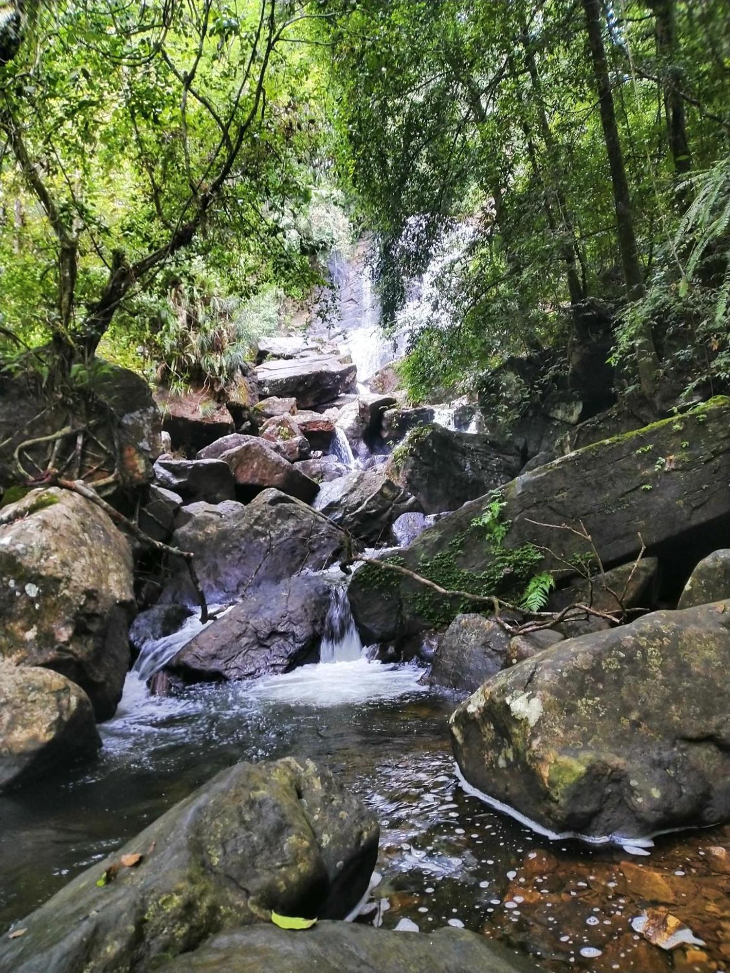Sinharaja Riverside Deniyaya Bagian luar foto