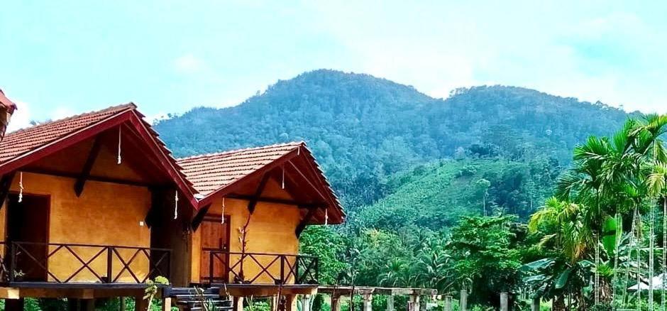 Sinharaja Riverside Deniyaya Ruang foto